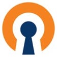 Icona del programma: OpenVPN