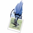 Icon of program: jUploadr