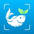 أيقونة البرنامج: Fish Identifier ID Fish V…