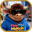 Icoon van programma: Tiny Tile Match