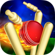 プログラムのアイコン：RunOut Master - Cricket W…