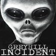ไอคอนของโปรแกรม: Greyhill Incident