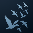 Programikonen: Chicken Road 2  Play Game