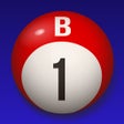 プログラムのアイコン：Bingo