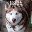 Icon of program: Husky Lock Screen