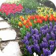 プログラムのアイコン：Garden Design Ideas