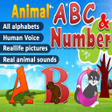 プログラムのアイコン：Learn Alphabet Number for…