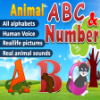 Learn Alphabet Number for kids