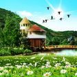 Icon of program: Summer Wallpaper