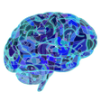 程序图标：Brain