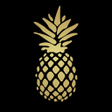 LUXXU app swinger icon
