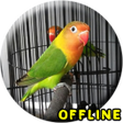 Ikon program: Lovebird Kusumo Ngekek Pa…