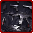 Иконка программы: armas free fire