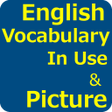 Ikona programu: English Vocabulary In Use