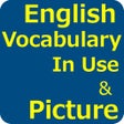 プログラムのアイコン：English Vocabulary in Use