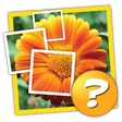 Programın simgesi: 1 Pic 1 Word: What's the …