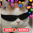 プログラムのアイコン：Awesome Cats Stickers 202…
