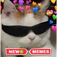 Awesome Cats Stickers 2022