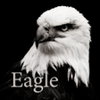 程序图标：Eagle Theme HOME