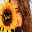 プログラムのアイコン：DİDOMİDO  NİMET