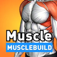 Programın simgesi: MuscleBuild