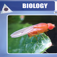 Icon of program: Biology TextBook 12th