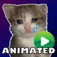程序图标：Sad cats sticker.