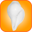 程序图标：Shankh - Shell
