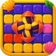 ไอคอนของโปรแกรม: Pocket Block Genesis