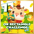 OX Rectangle Challenge
