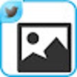 プログラムのアイコン：Twitter image