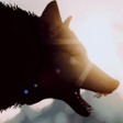Icon of program: Black Wolf Wallpapers