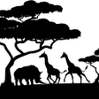 Symbol des Programms: Holcim Savanna