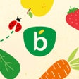 Ikon program: BlédiPOP