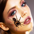 程序图标：Spider on Face Photo Edit…