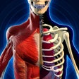 أيقونة البرنامج: Anatomy Atlas  Human Biol…