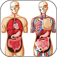 程序图标：3D Human Anatomy. Human b…