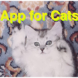程序图标：Ball App for Cats