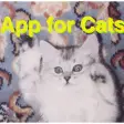 Ball App for Cats