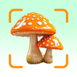 Icoon van programma: Mushroom Identifier - Shr…