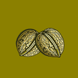 ไอคอนของโปรแกรม: Nuts