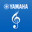 Иконка программы: NETWORK PLAYER CONTROLLER