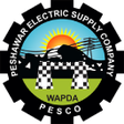 程序图标：PESCO LIGHT