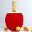 Icon of program: Virtual Table Tennis