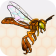 ไอคอนของโปรแกรม: Be a Bee: Seja uma Abelha