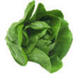 Icon of program: اكلات للرجيم