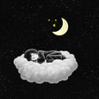プログラムのアイコン：Rain Sounds For Sleep
