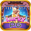 ไอคอนของโปรแกรม: PG Lucky Neko