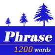 Programikonen: 最常用英文片語和慣用語