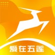 Ícone do programa: 元速莲山